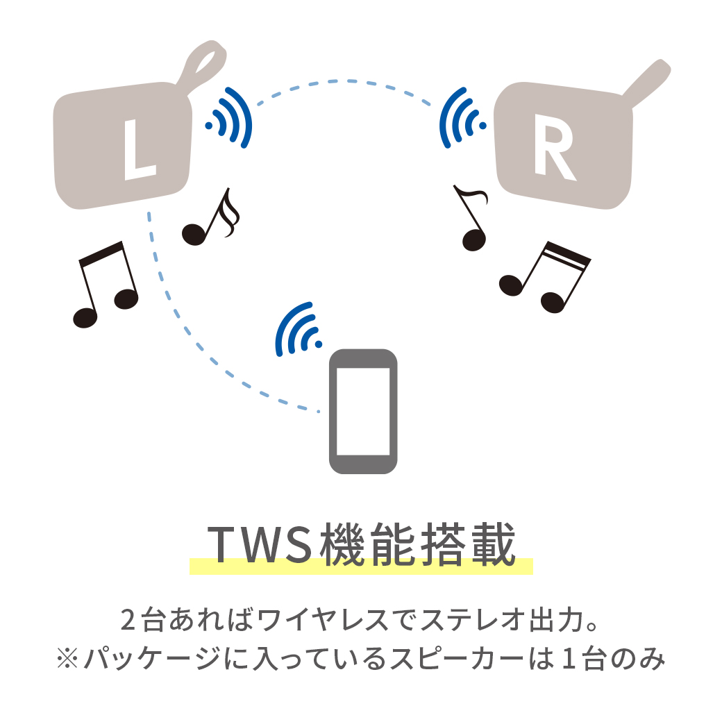 WIRELESS SMALL SPEAKER MS-020