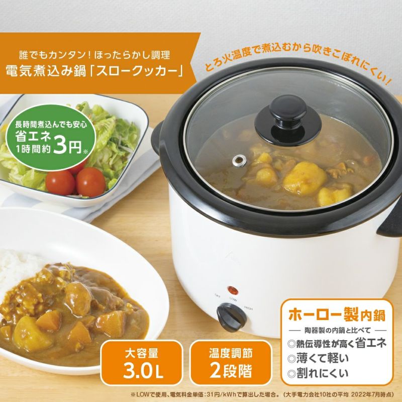 電気煮込み鍋 スロークッカー 3.0L │LITHON STORE(ライソンストア)